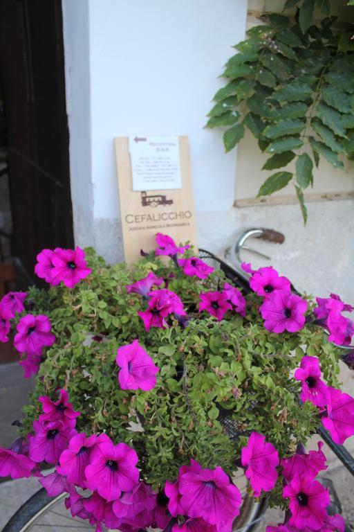 Cefalicchio B&B คาโนซา ดิ พูเจลีย ภายนอก รูปภาพ