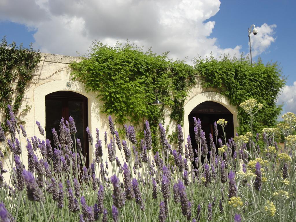 Cefalicchio B&B คาโนซา ดิ พูเจลีย ภายนอก รูปภาพ